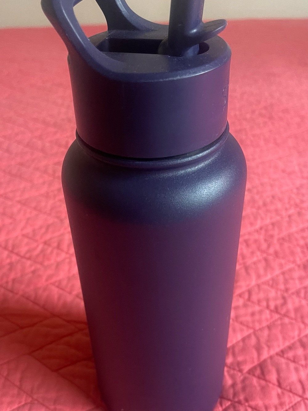 Matte Insulated Water Bottle with Carry Handle